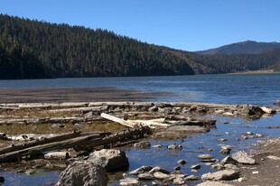 普达措森林公园