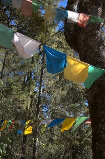 普达措森林公园