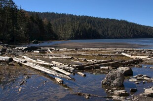 普达措森林公园