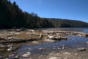 普达措森林公园