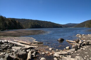 普达措森林公园