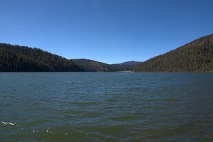 普达措森林公园