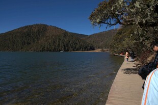 普达措森林公园