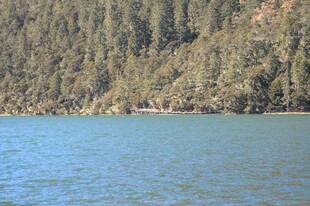 普达措森林公园