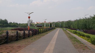 乡村笔直公路田园风光