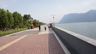 湖畔漫步道 悠然赏景处
