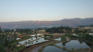 乡村田园池塘风景图