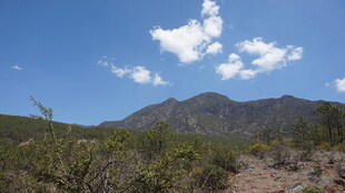 蓝天群山间的荒野景致