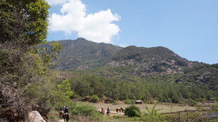 山间美景 自然风光宜人