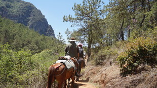 山间小道上的骑马旅行者