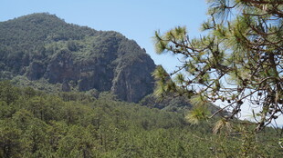 青山绿树间的秀丽山景