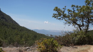山间绿植与远处景致