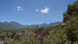 山间美景 蓝天白云绿树