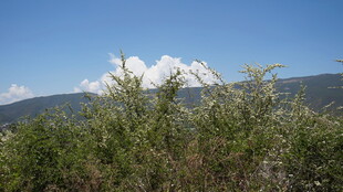 山间绿植与蓝天白云美景