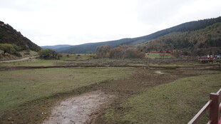 山间草地中的蜿蜒小路