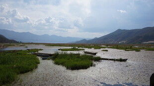 山间河流湿地风光