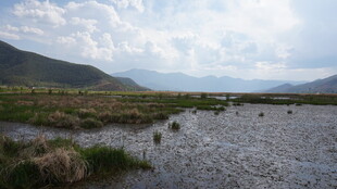山间河滩风景