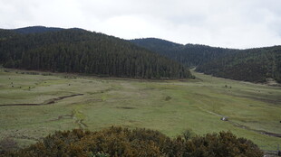 山间草原风光