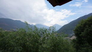 山间葱郁景致