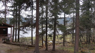 林间小屋 静谧自然景致