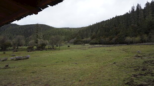 山间开阔草地风景
