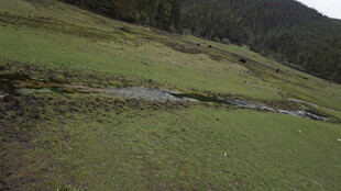 山间蜿蜒小路的自然景致