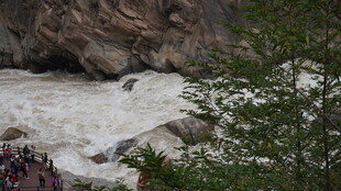 湍急河流旁的自然景致