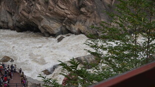 湍急河流旁的自然景观