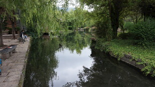 宁静河畔的自然风景