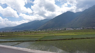 田园山水风光美景