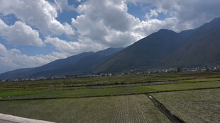 田园风光中的远山与蓝天