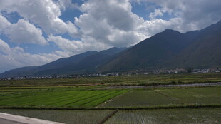 田园山色风光美景