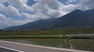 公路边的田野与远山风景