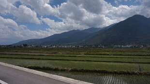 公路旁的田园与远山风景