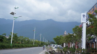 公路旁景致 远山近树