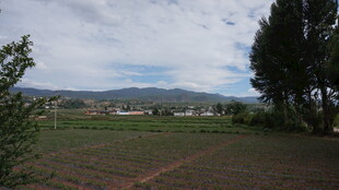 田园风光的开阔景致