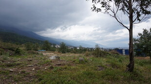 山间草地风景