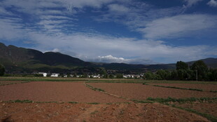 田园风光 广袤田野与远山