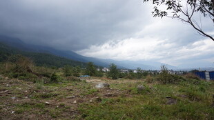 山间草地风景