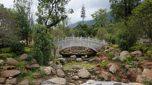 中式园林石桥景观