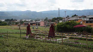 田园户外休闲座椅景观