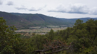 山间绿野风景
