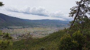 山间绿野风景