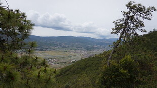 山间景致 葱郁植被与远景