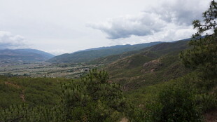 山间绿野风景