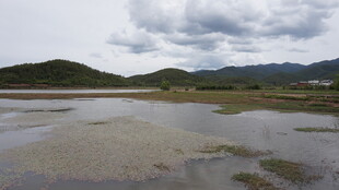 湿地风光 远山云雾环绕