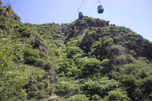 山间缆车穿梭于葱郁山林