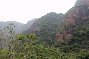 石林峡山峦叠翠间的绿意景致