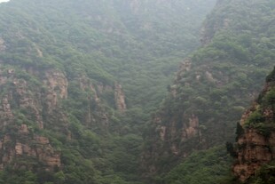 石林峡雾中壮丽峡谷景观