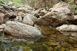 石林峡山间溪流旁的嶙峋怪石